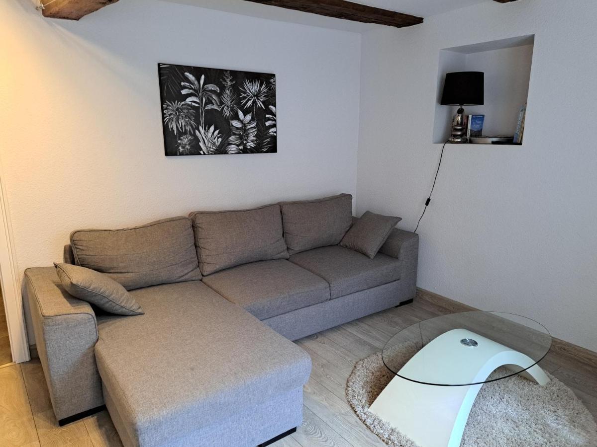 Ferienwohnung Les Colombages Colmar Exterior foto